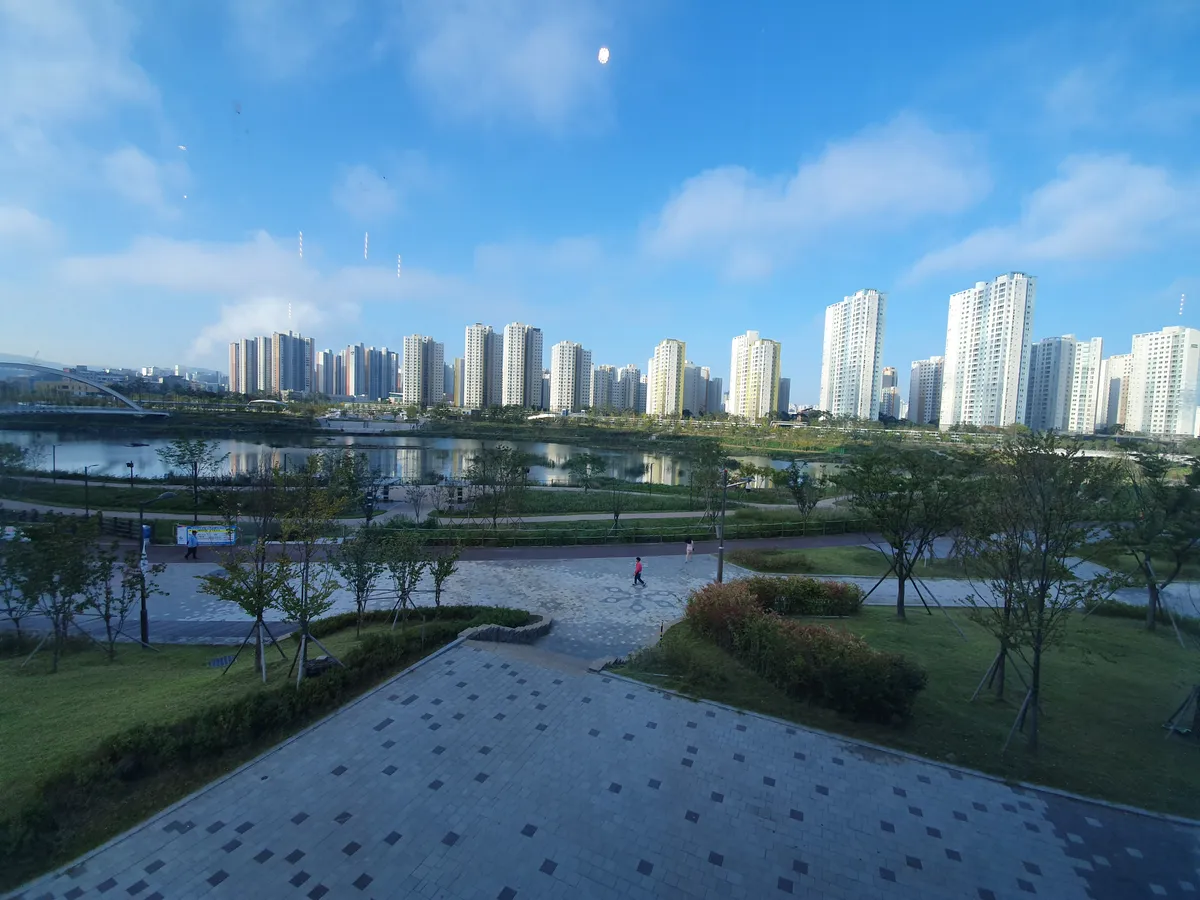 이미지 11