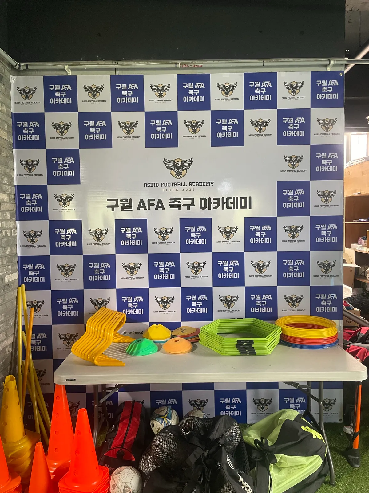 이미지 5