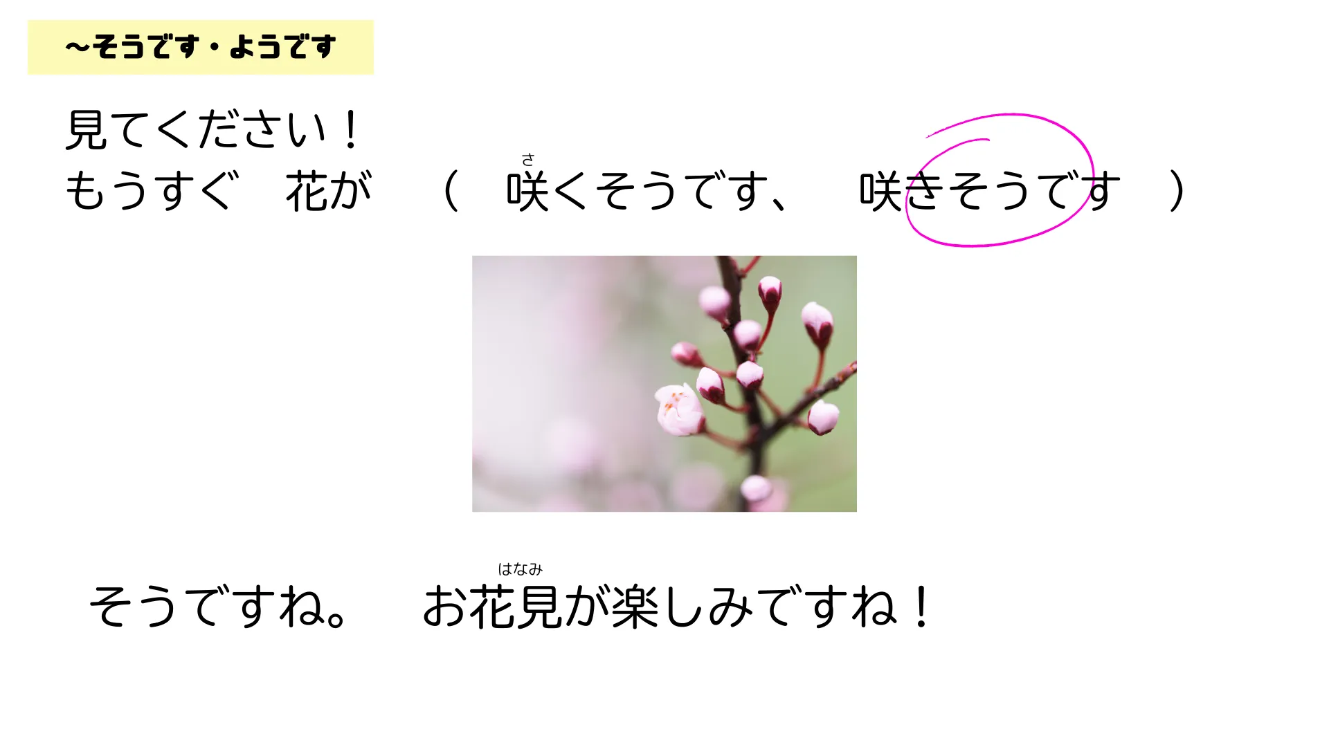 이미지 5