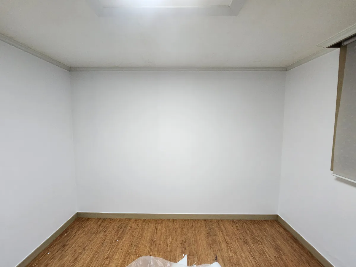 이미지 13