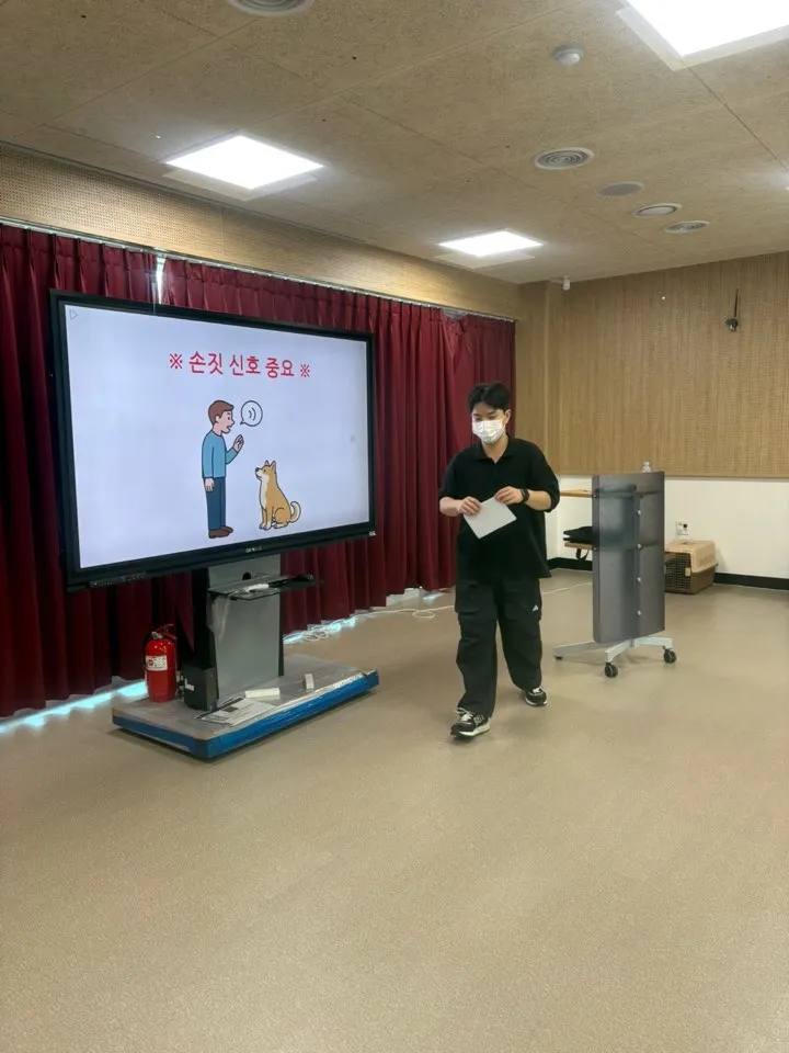 이미지 5