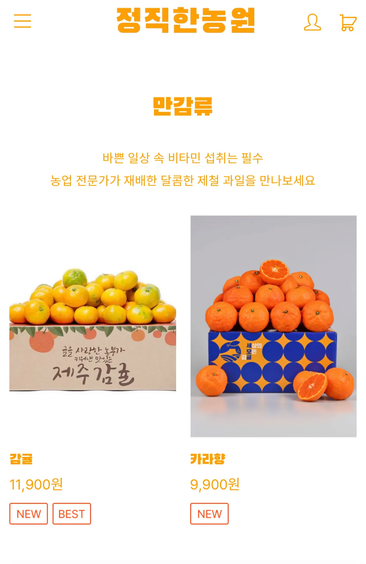 이미지 4