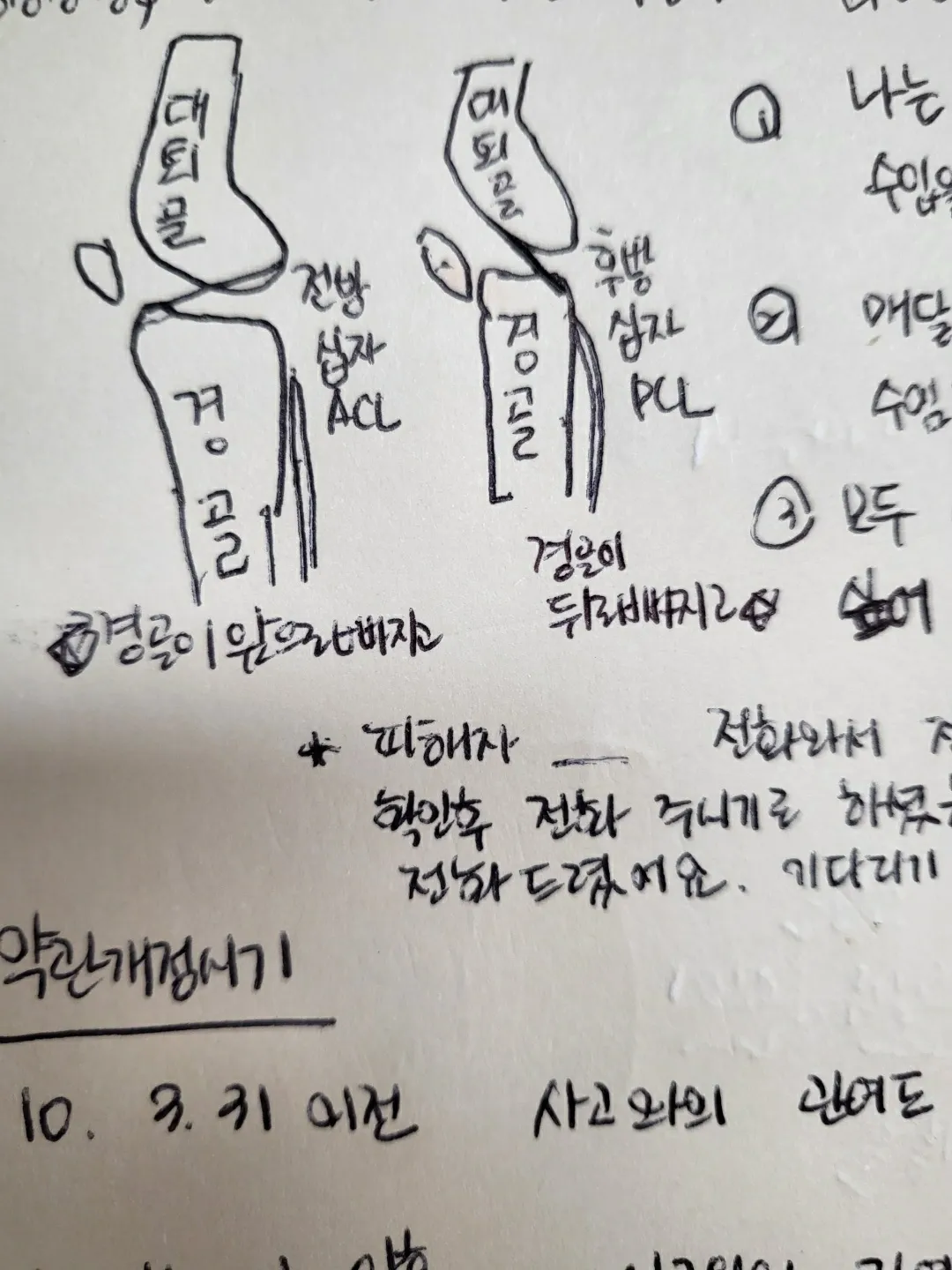 이미지 6