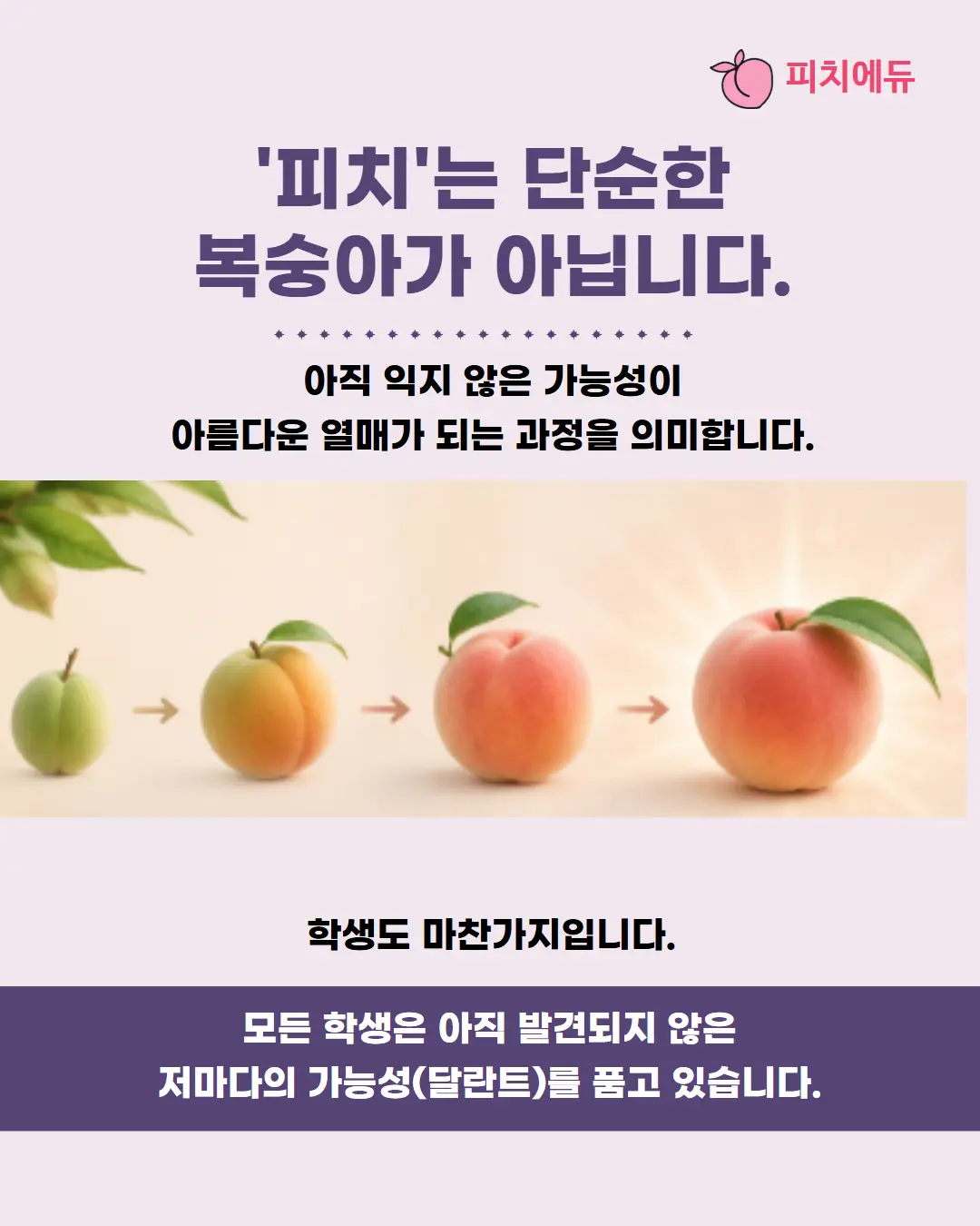 이미지 14