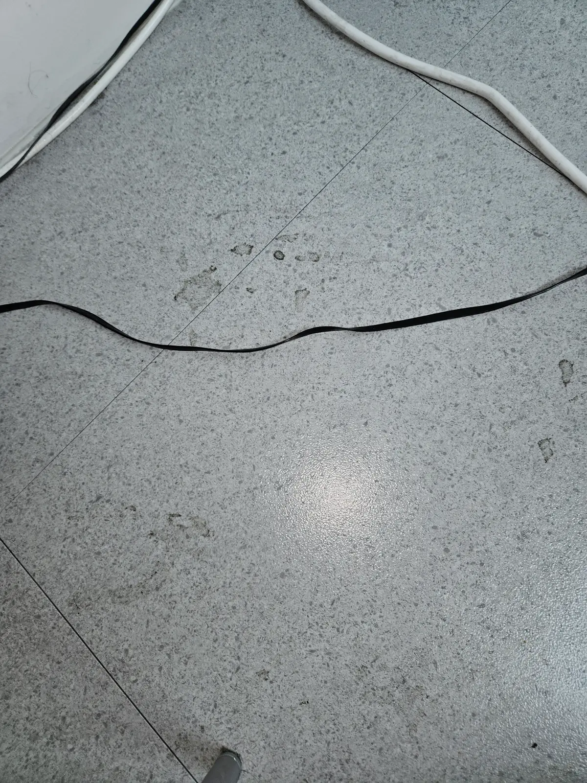 이미지 16