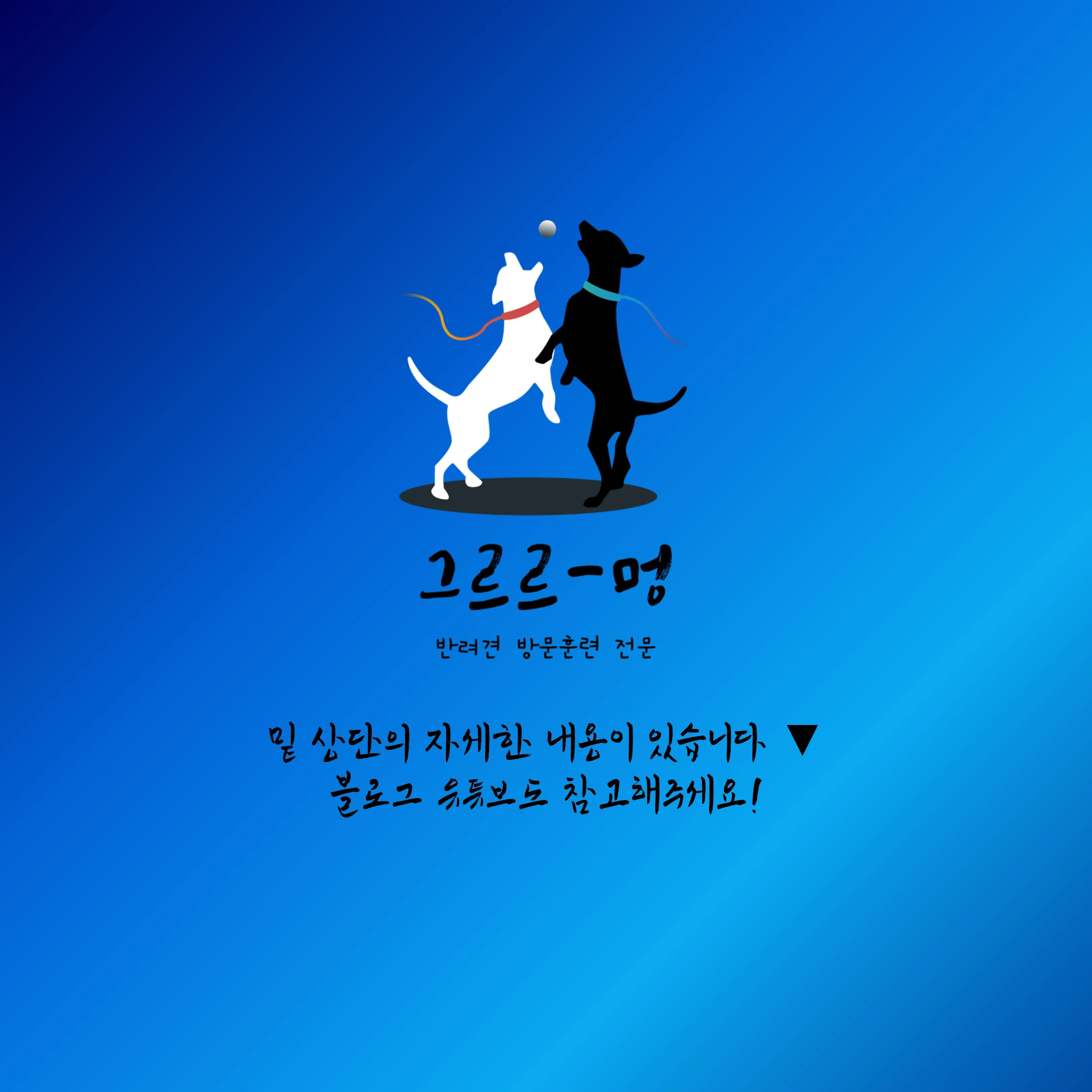 이미지 14