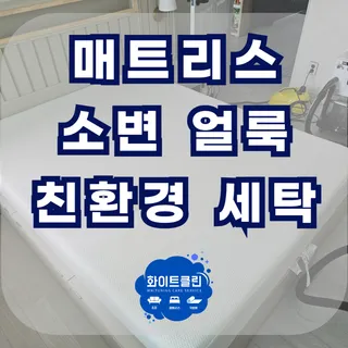 고양시 매트리스 소변얼룩 친환경 세탁