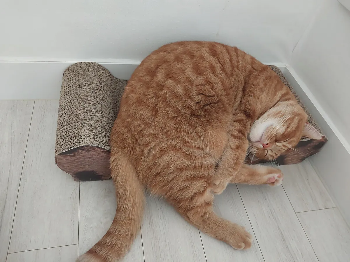 이미지 8