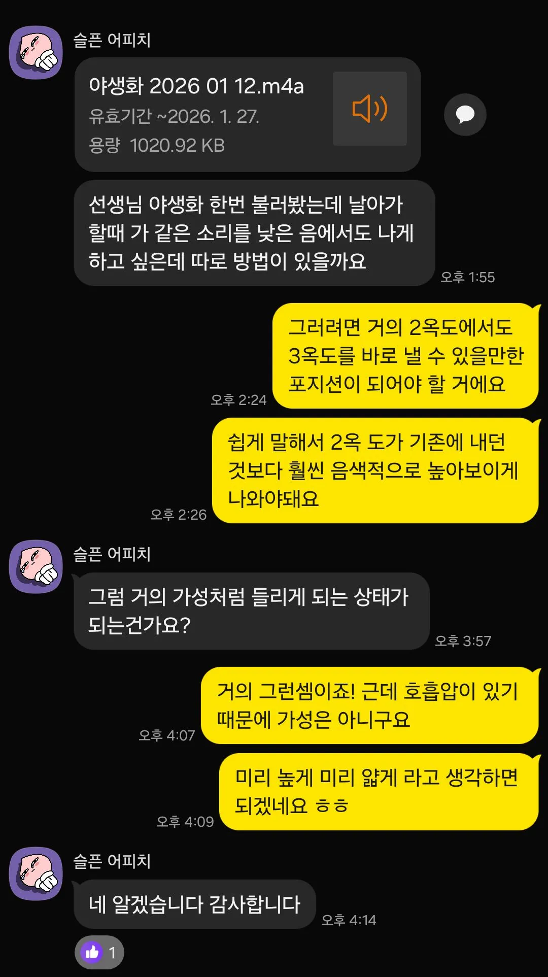 이미지 6