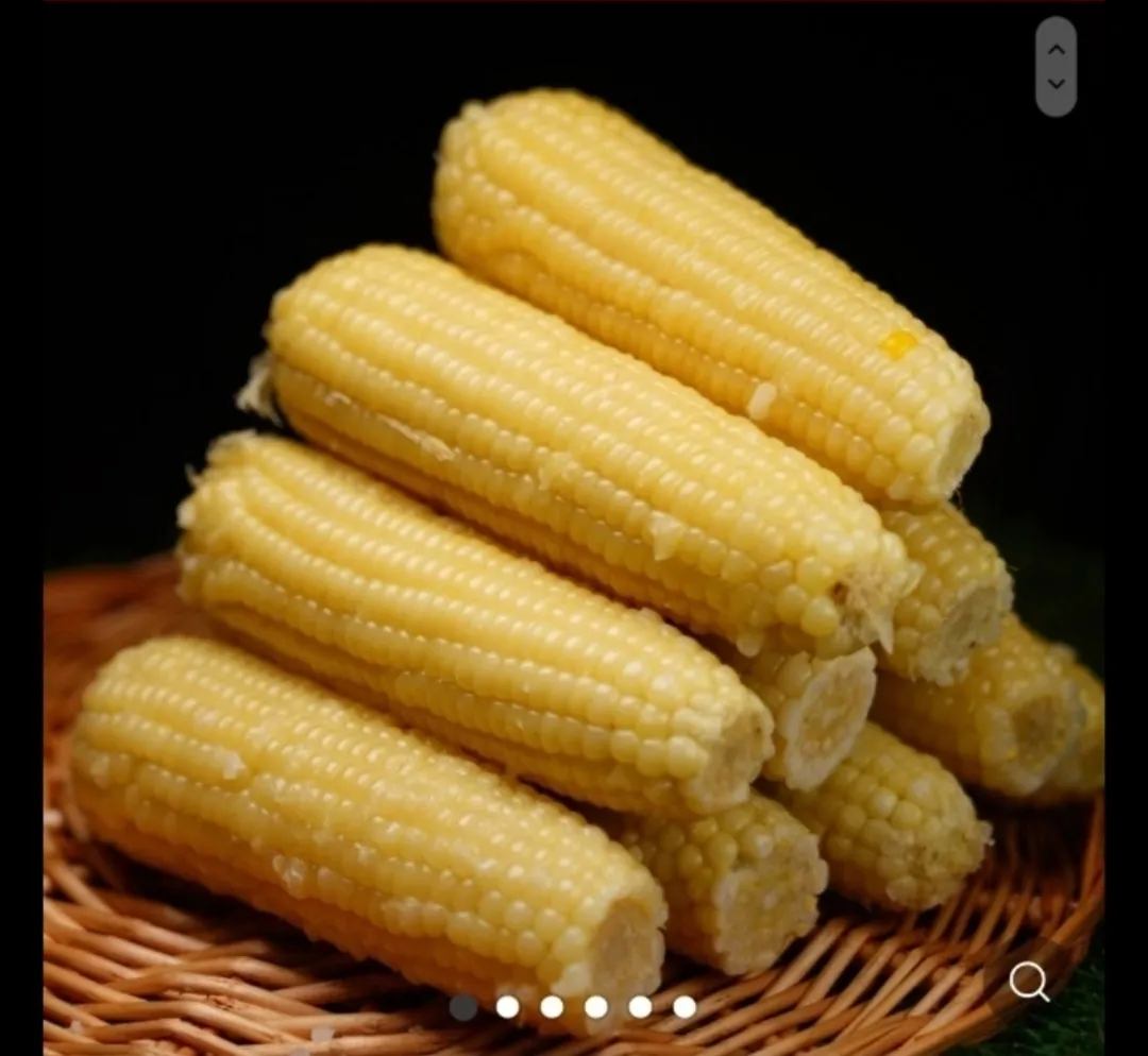 이미지 8