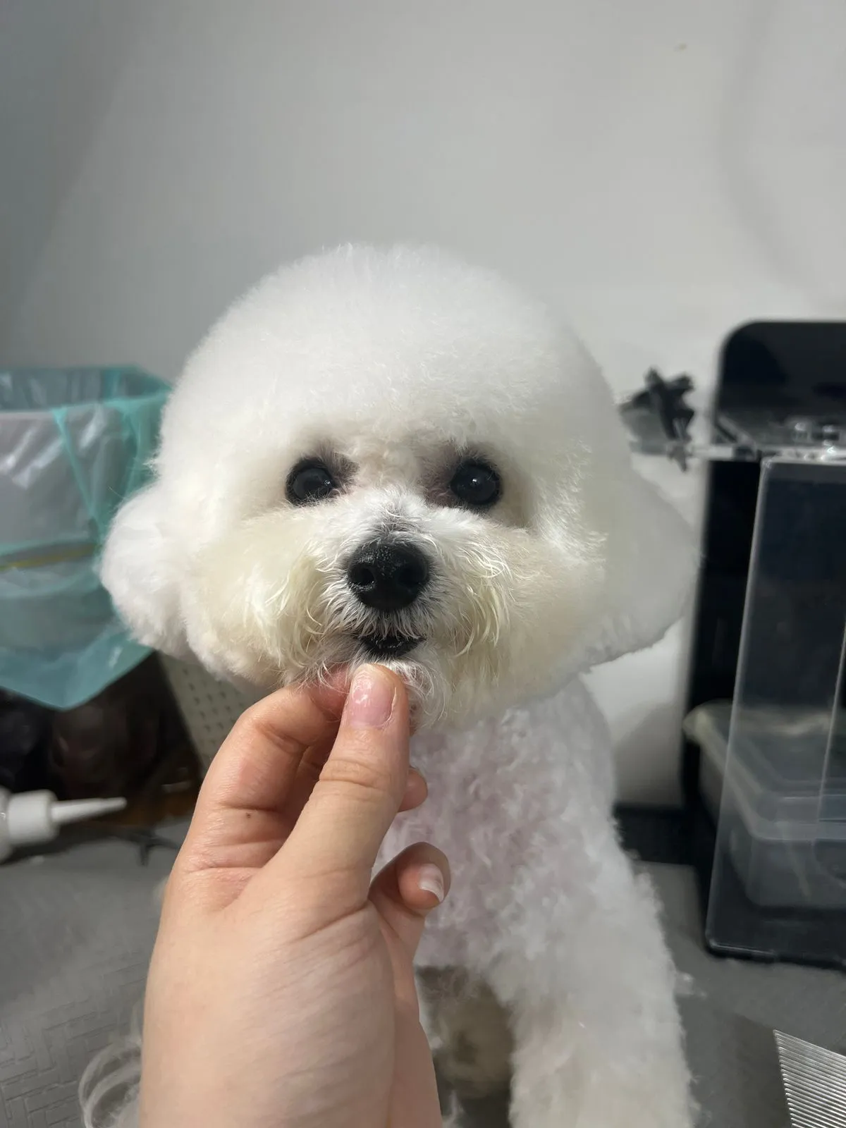 이미지 2