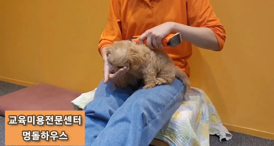 이미지 7