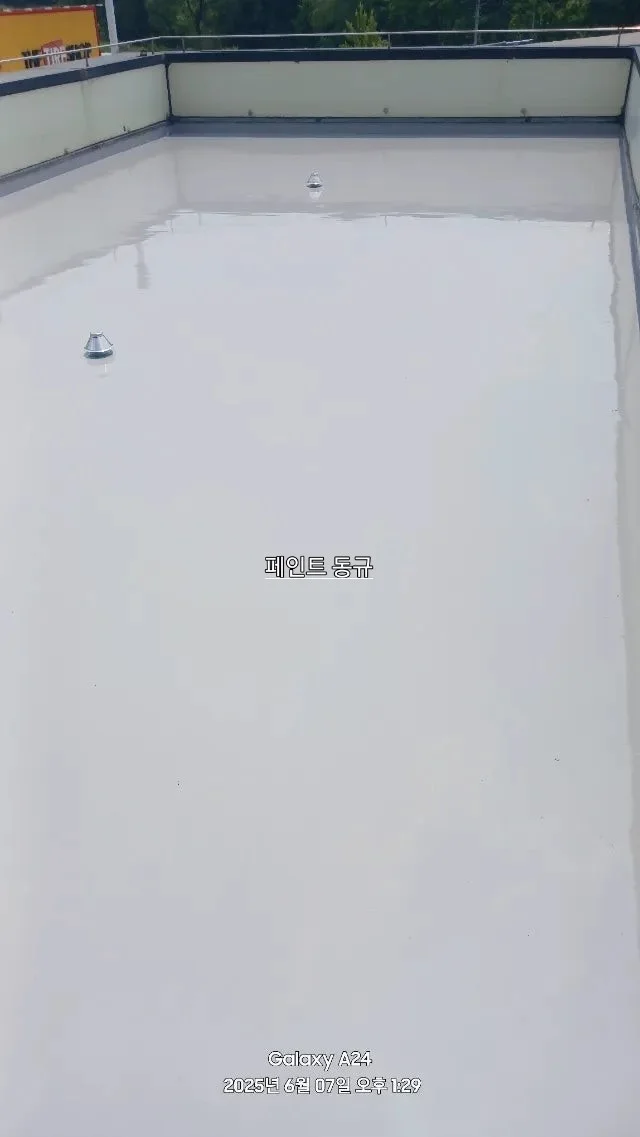 이미지 11