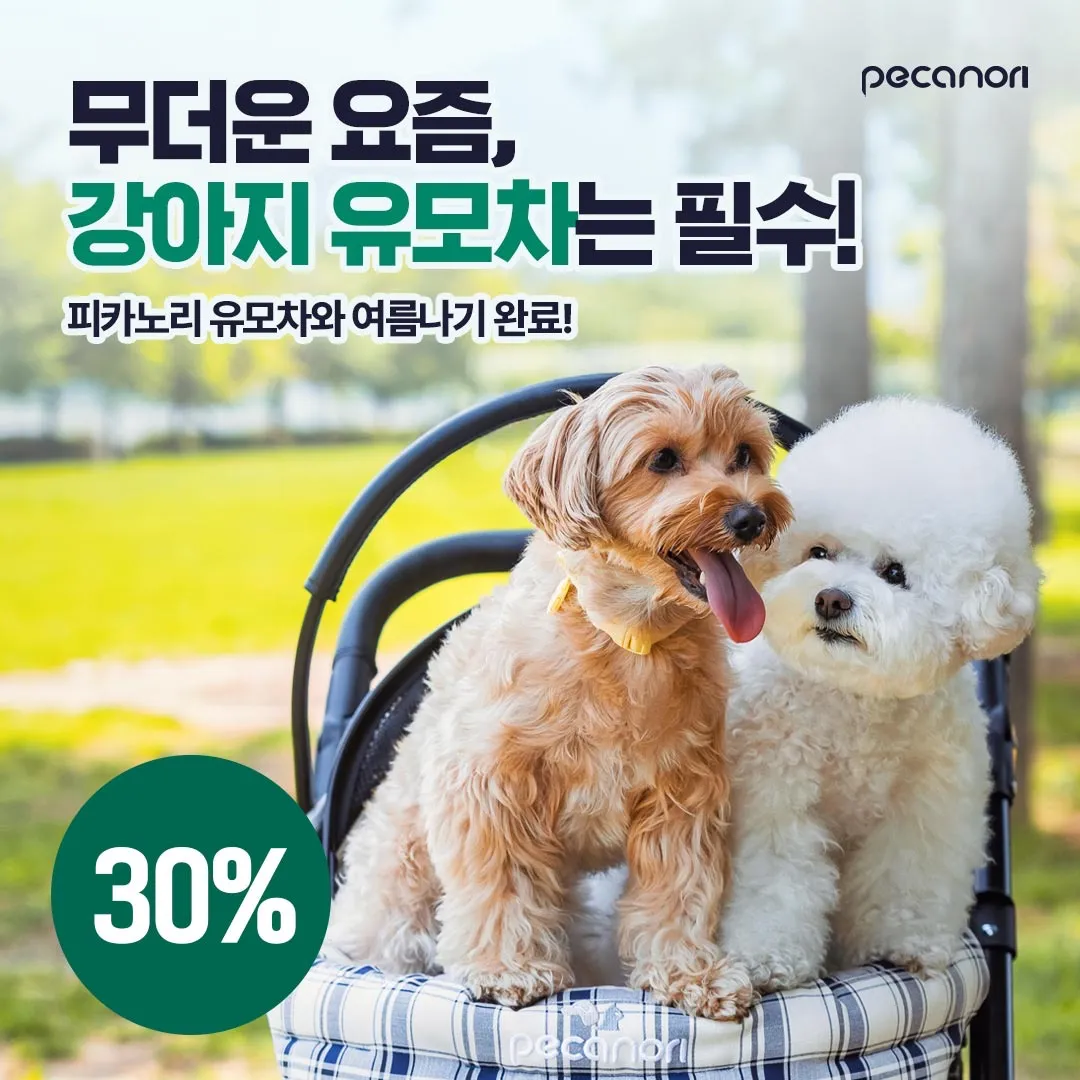 이미지 7