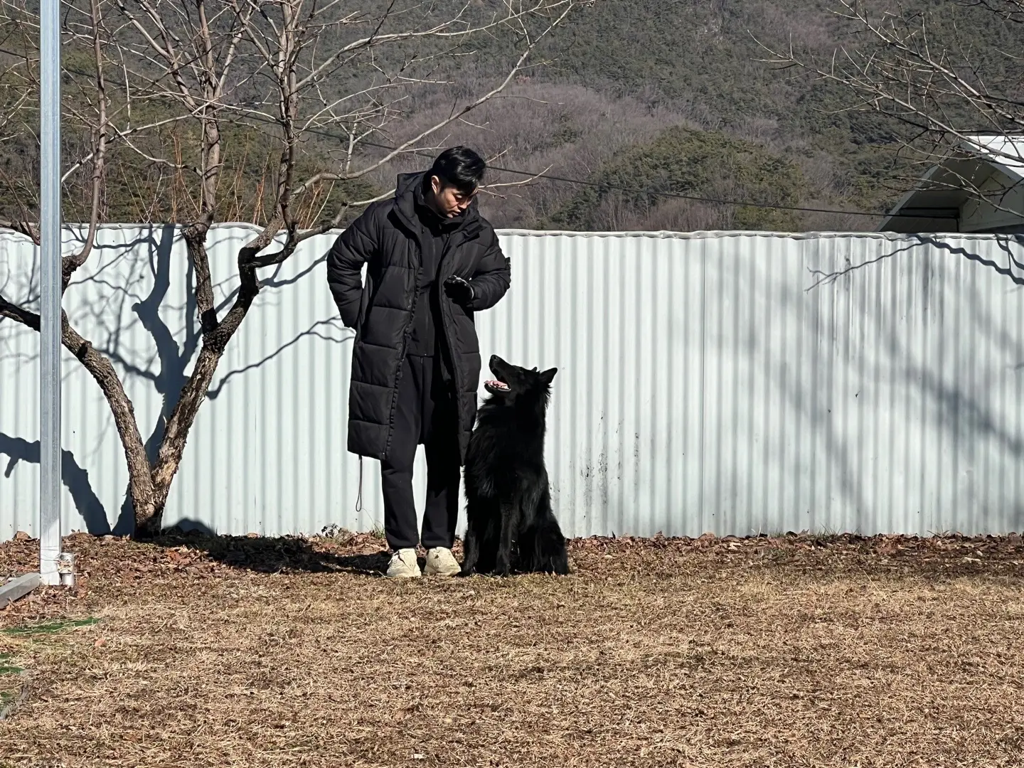 이미지 6