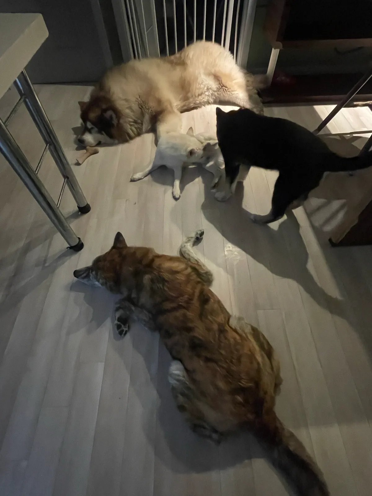 이미지 3