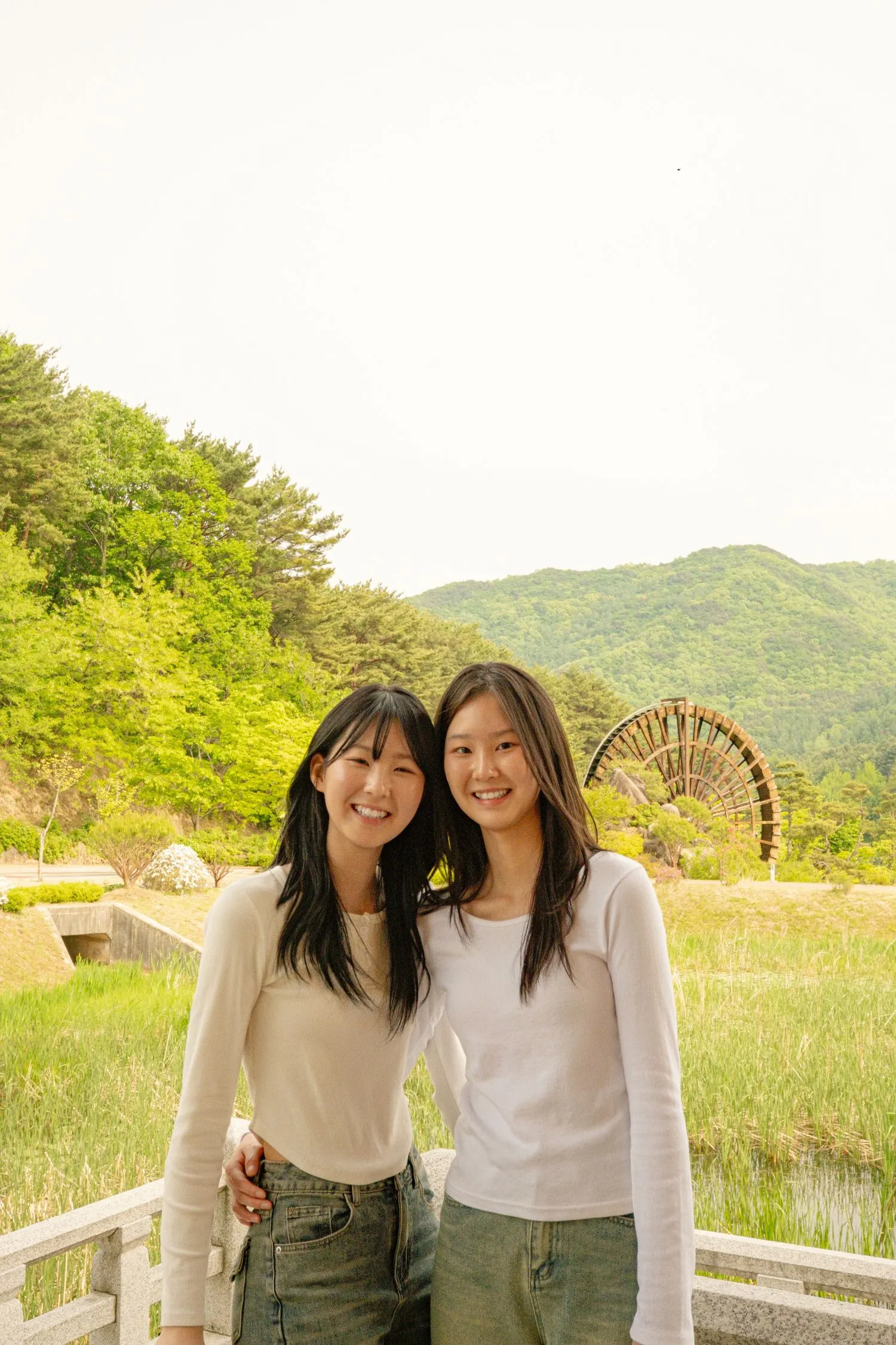 이미지 8