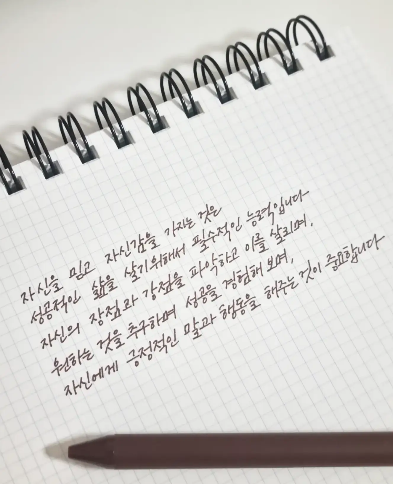 이미지 5