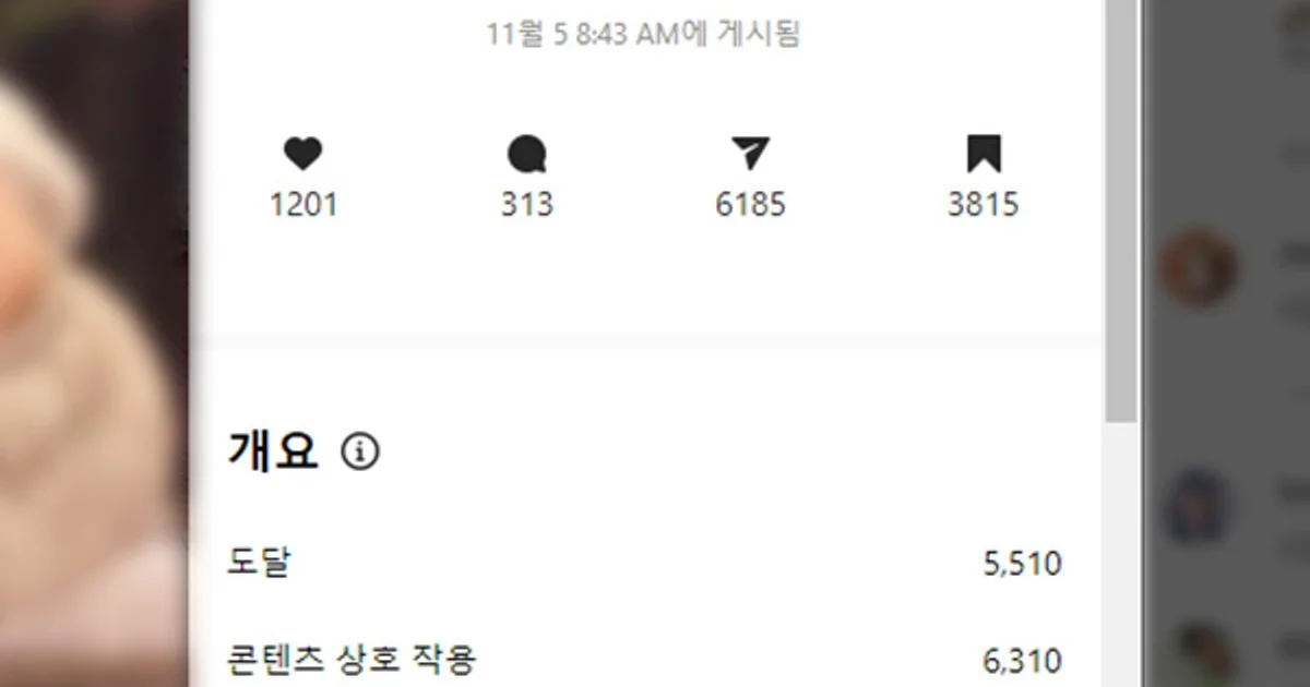 인스타/유튜브/틱톡 댓글,팔로워,좋아요,조회수,최적화 / 퍼스트원 - 숨고, 숨은고수 인스타/유튜브/틱톡 댓글,팔로워,좋아요,조회수,최적화 / 퍼스트원 - 숨고, 숨은고수