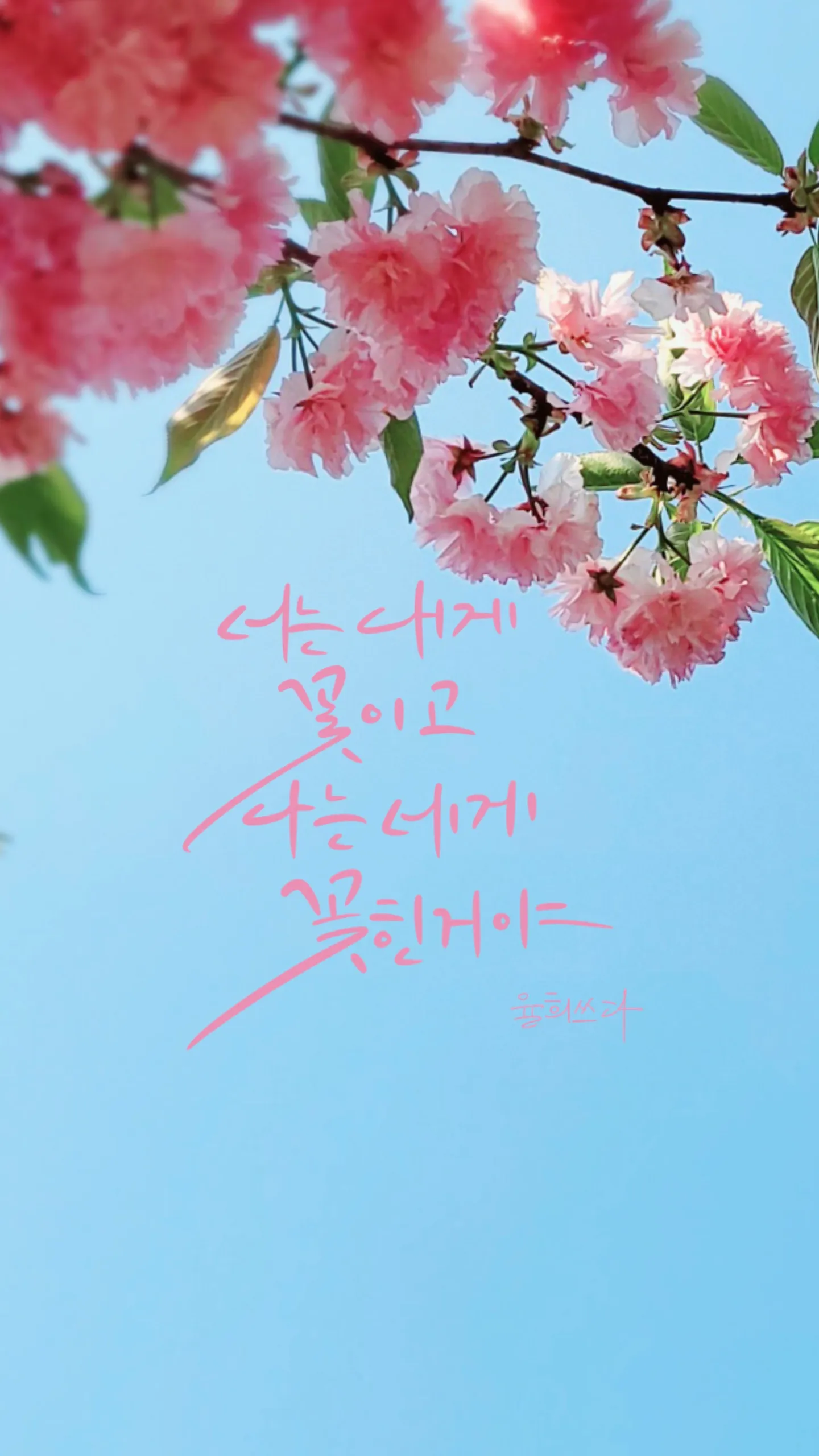 포트폴리오 이미지