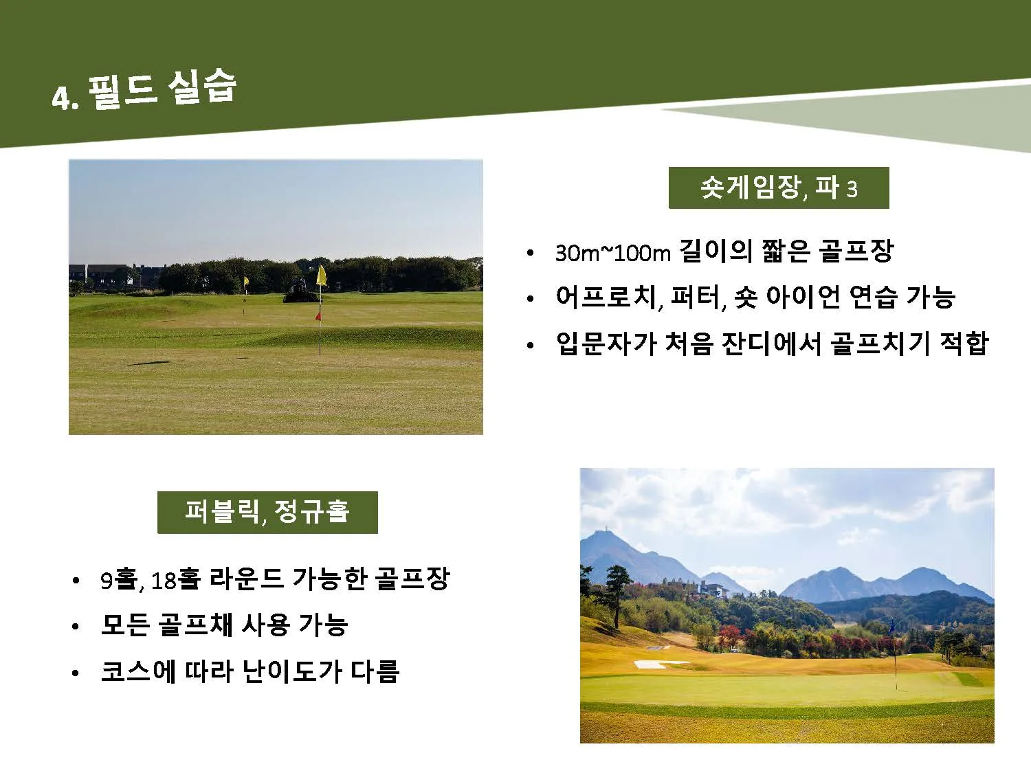 이미지 7