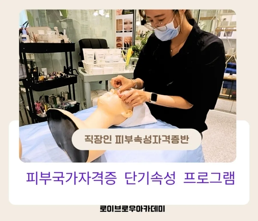 이미지 5