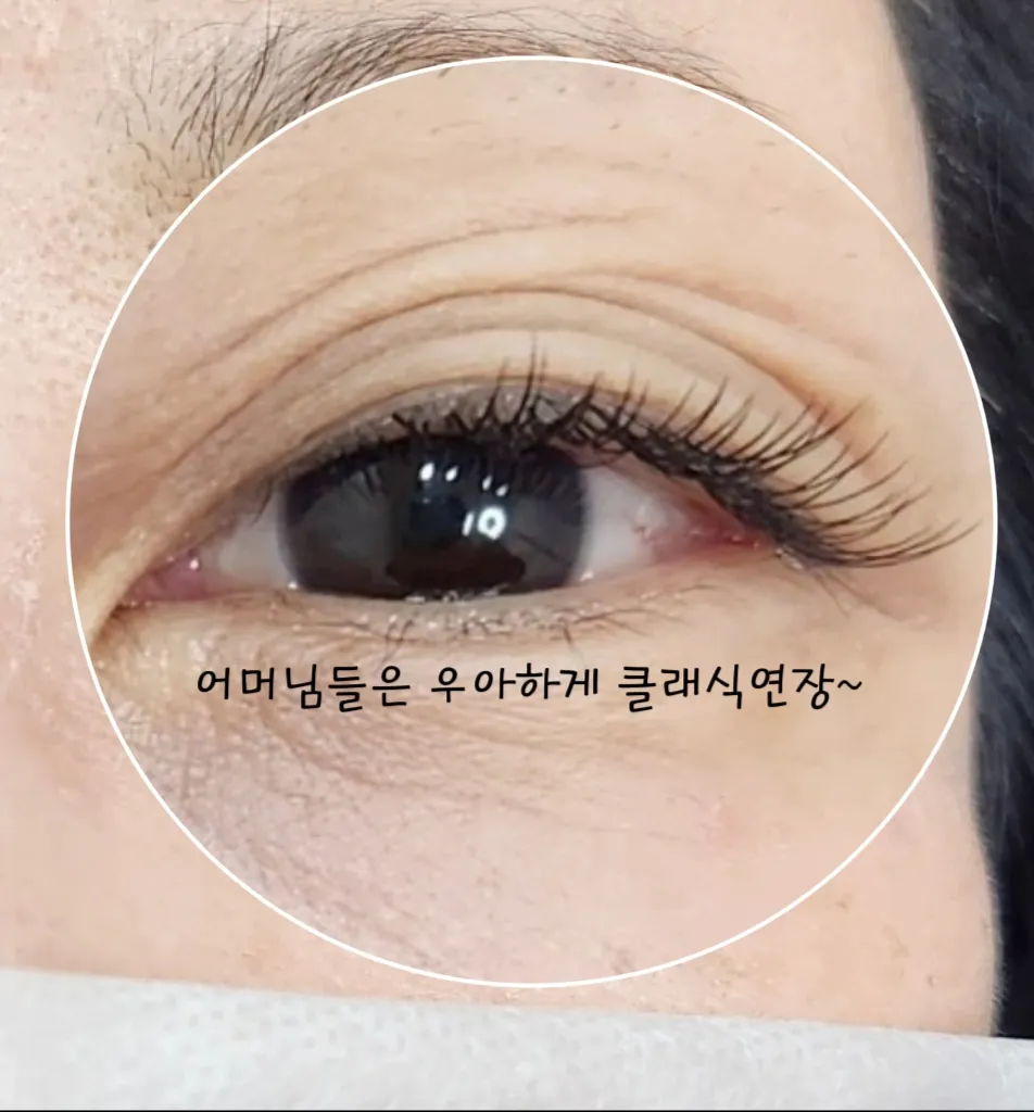 이미지 8