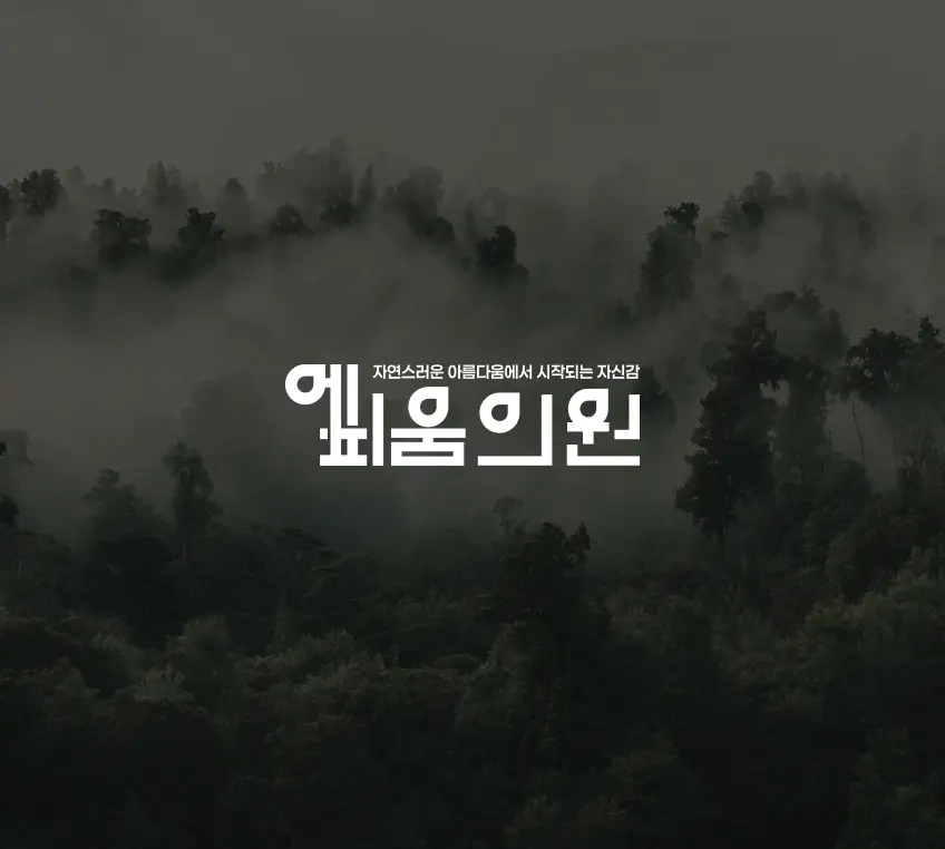 이미지 14