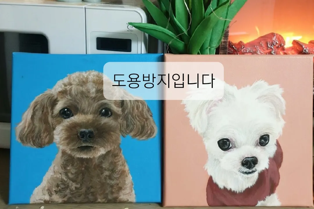 이미지 3