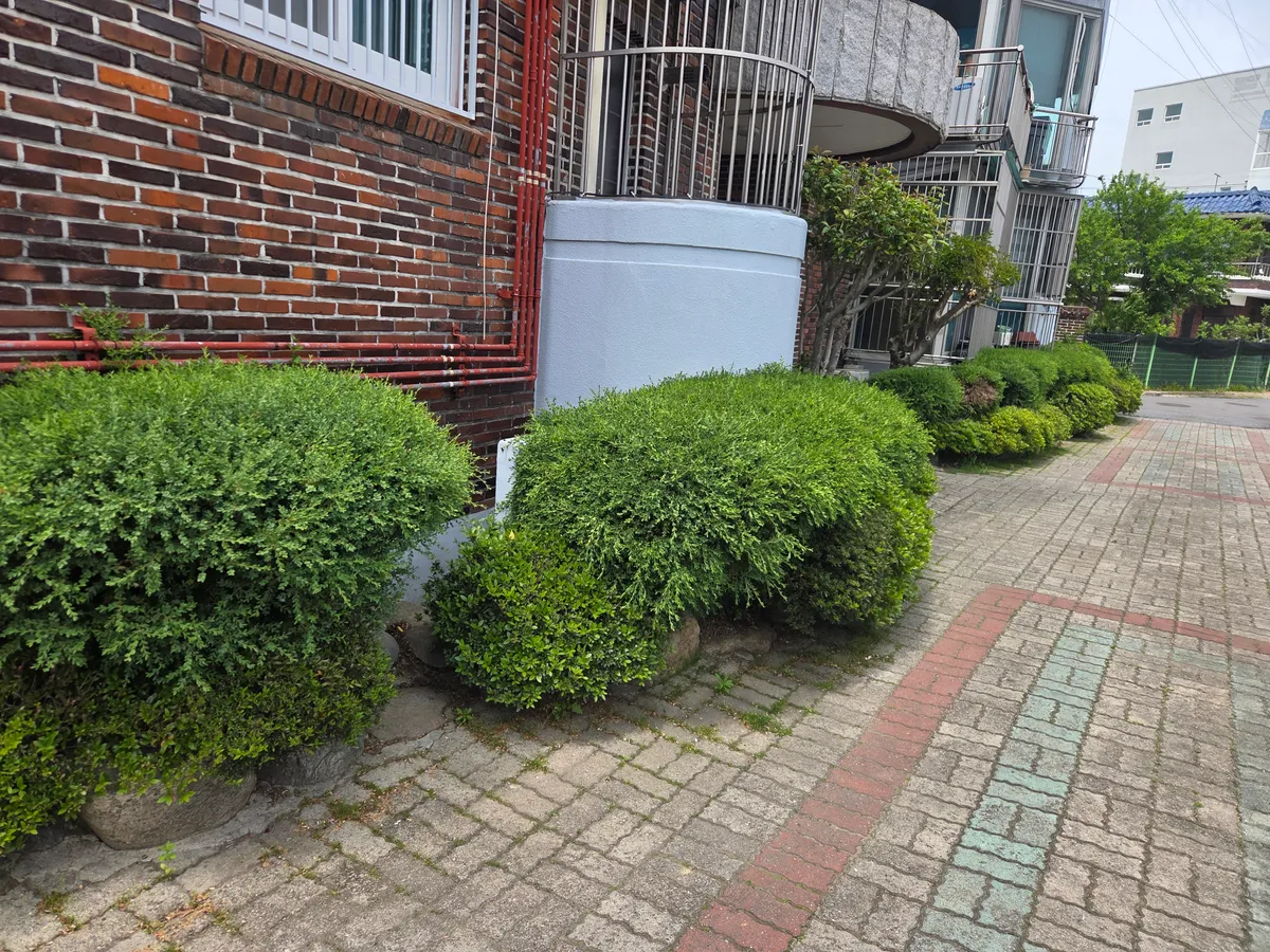 이미지 5