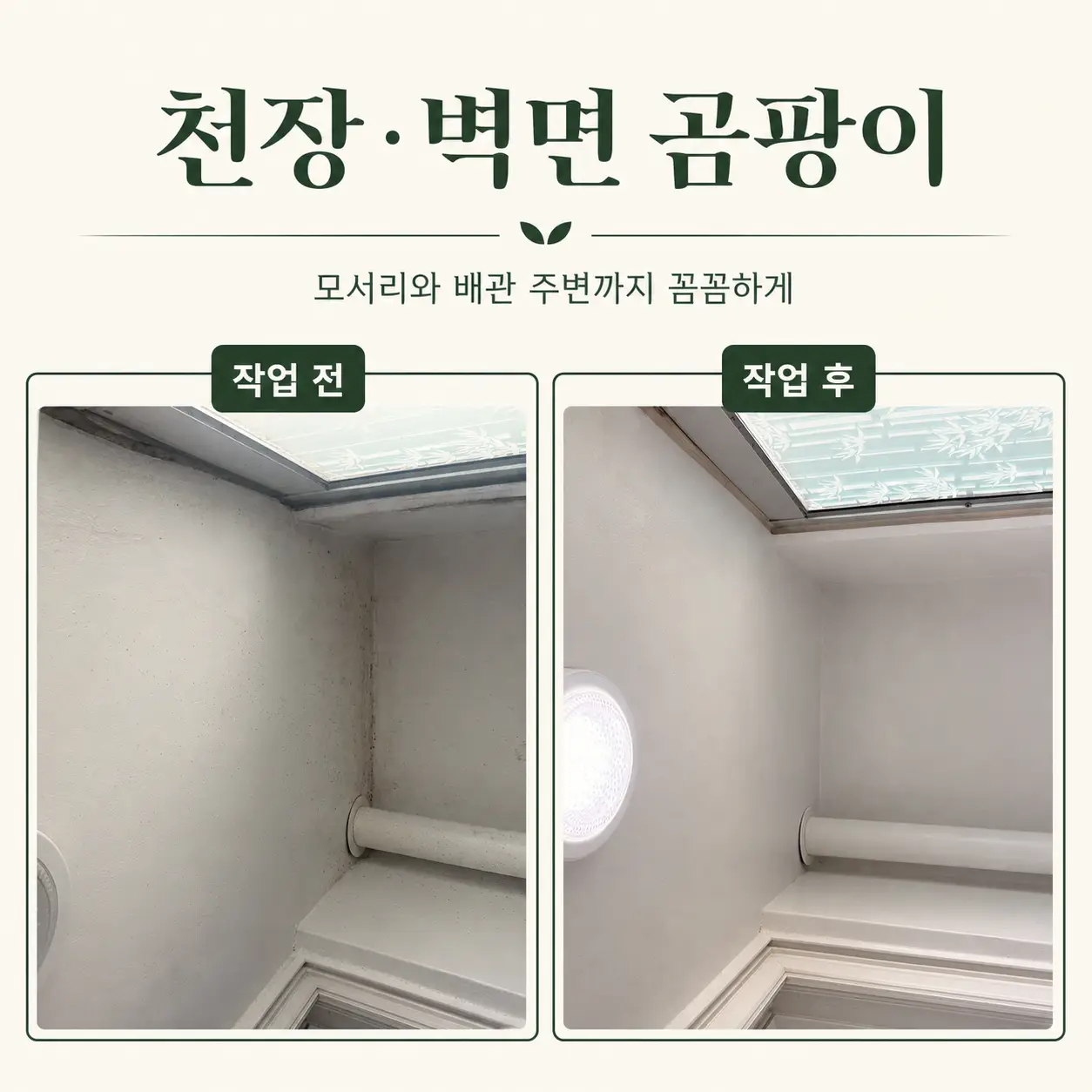 이미지 8