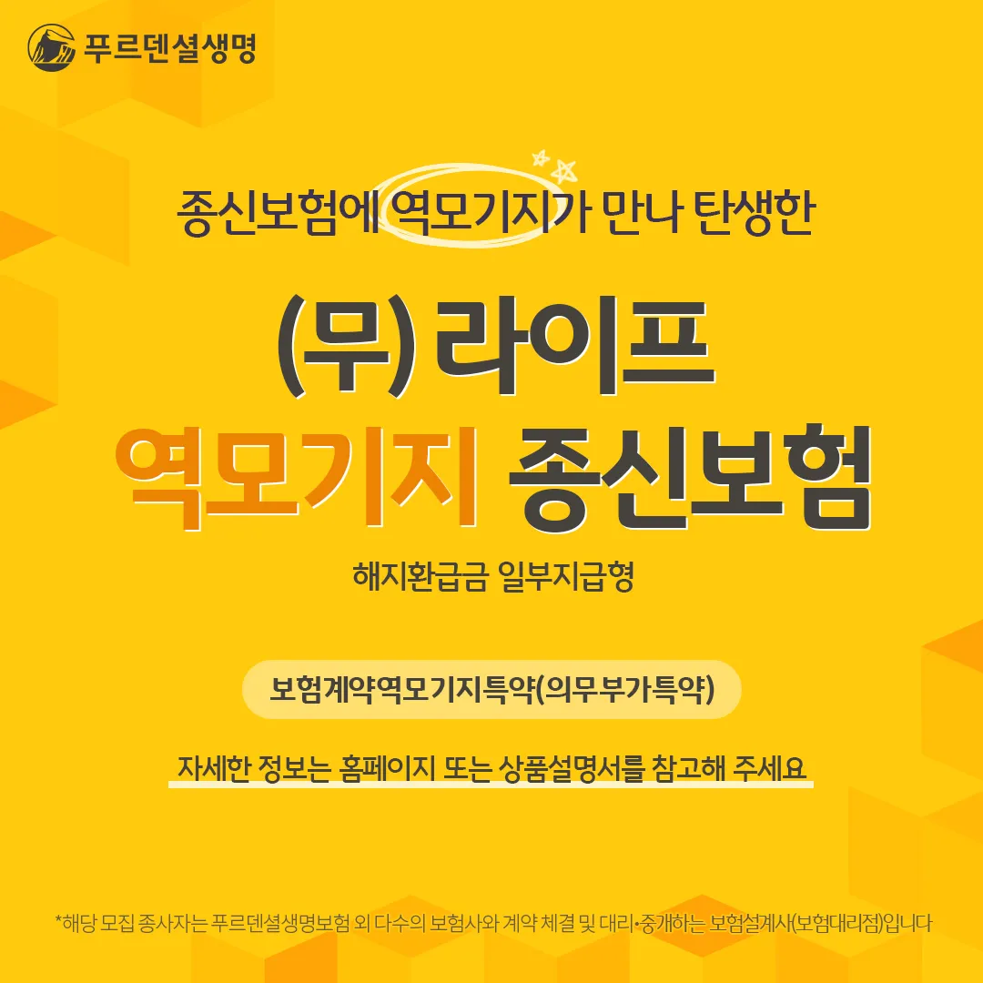 이미지 7