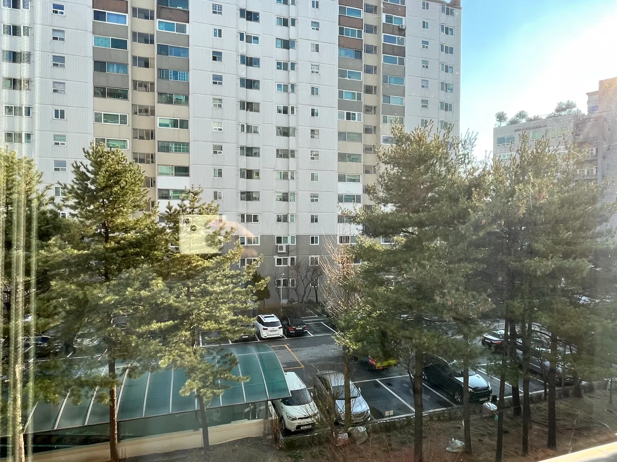 이미지 8