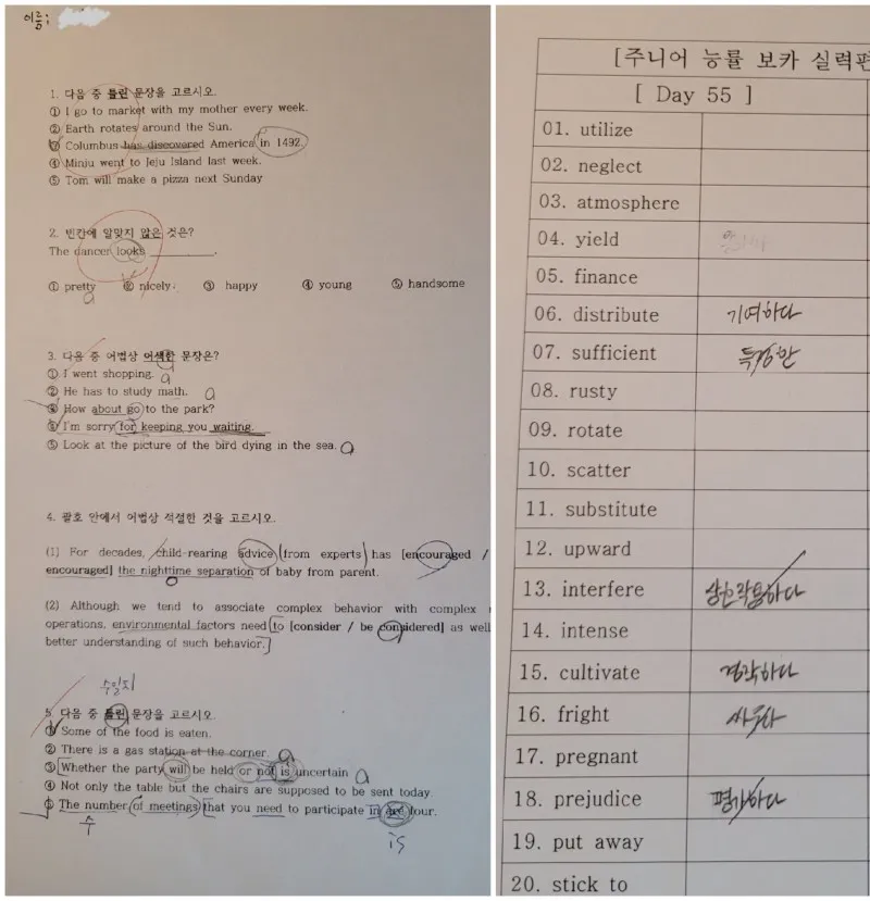 이미지 4
