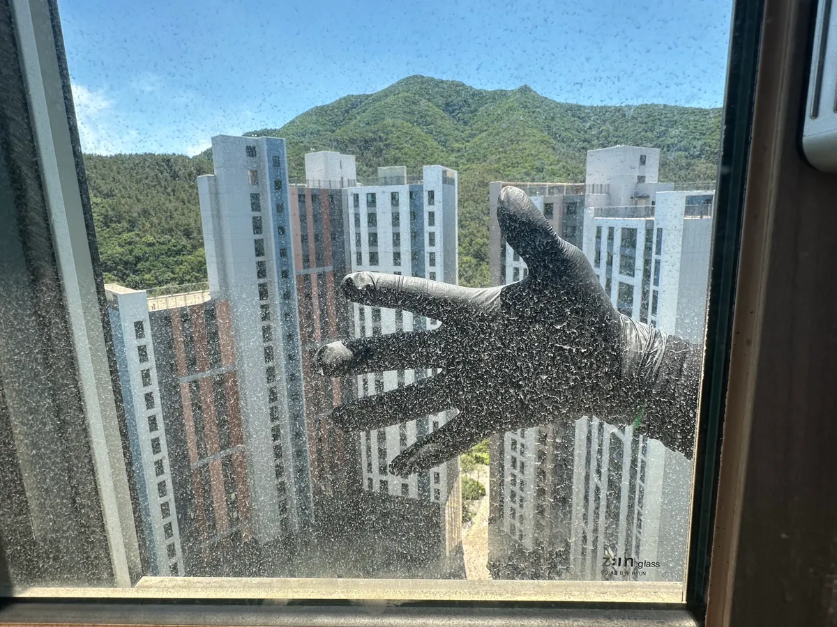 이미지 4