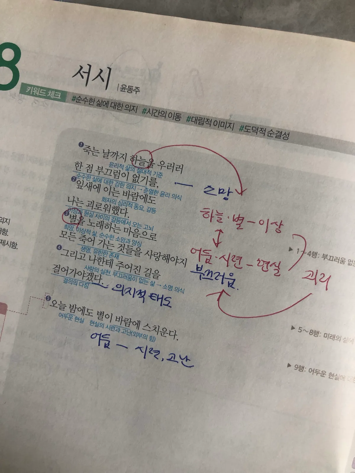 이미지 8