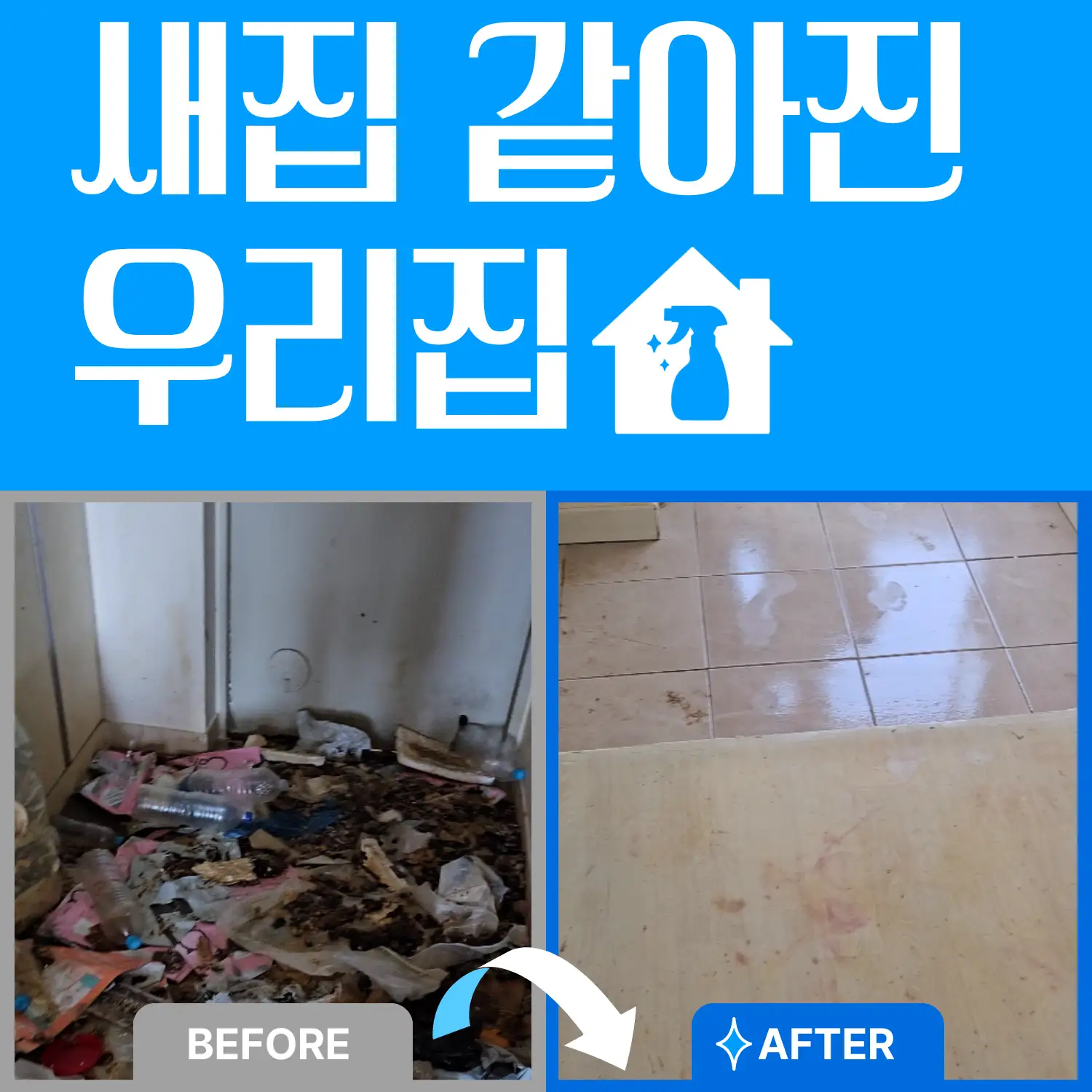 이미지 8