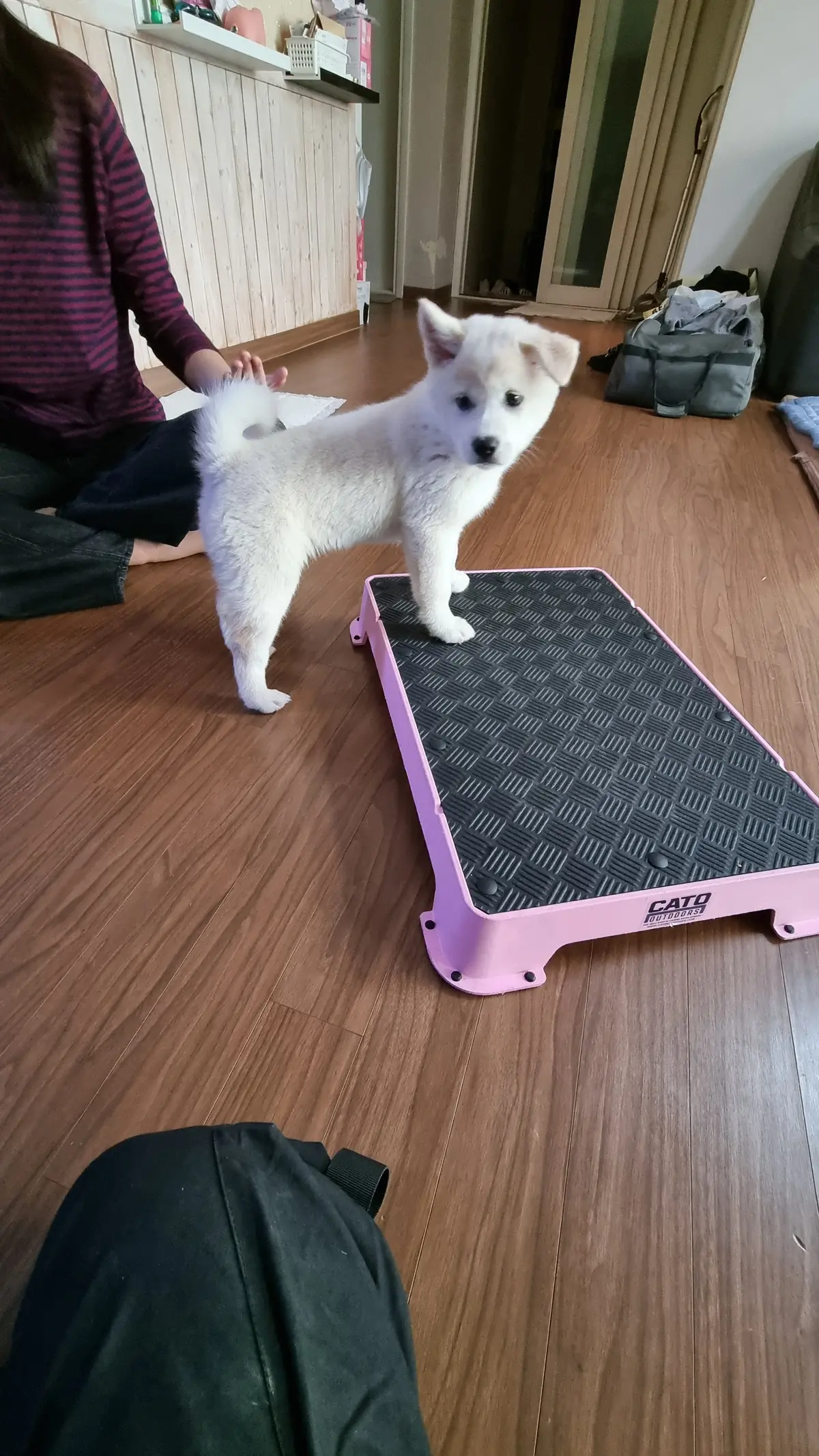 이미지 5