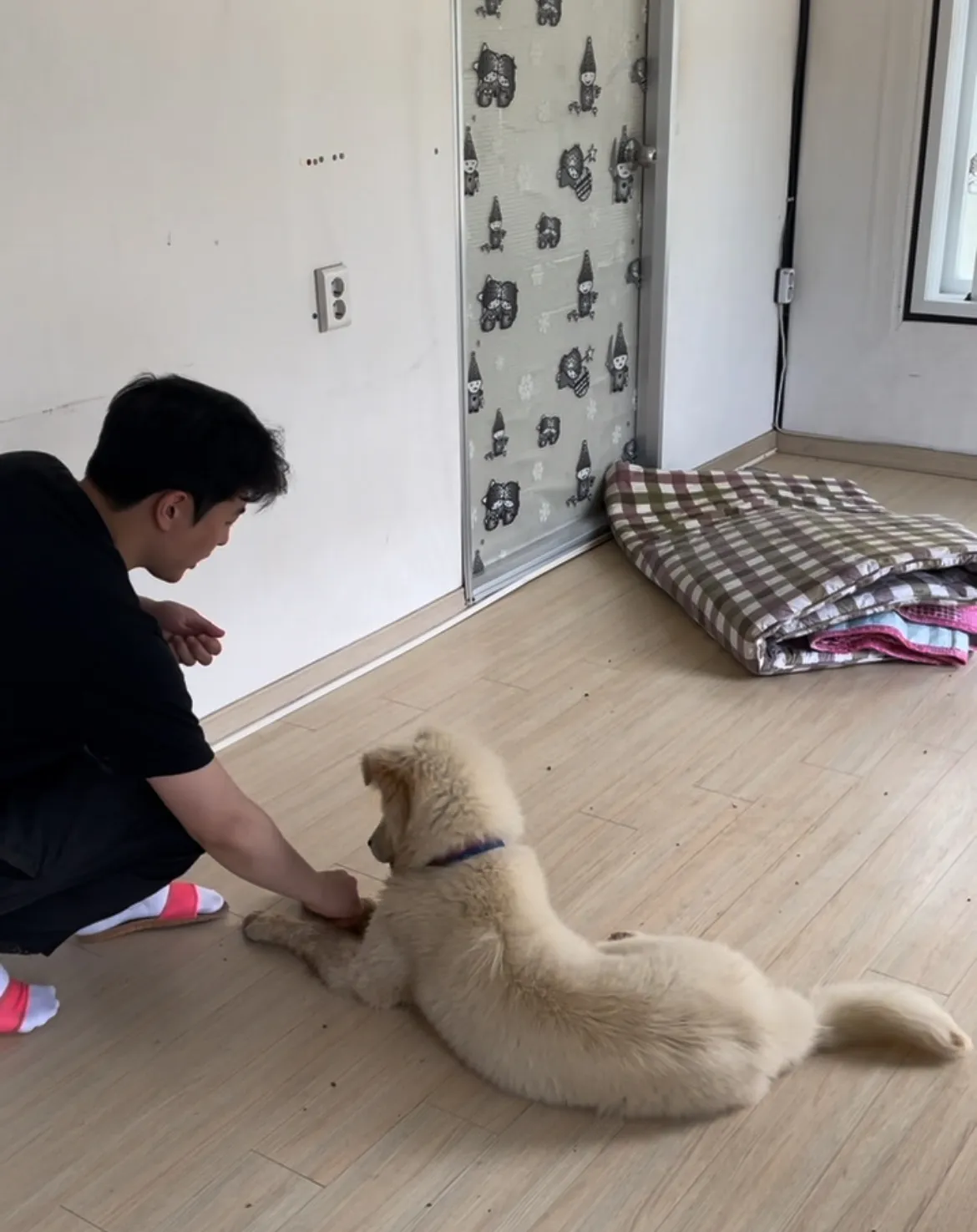 이미지 7