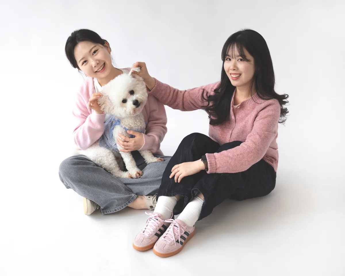 이미지 5