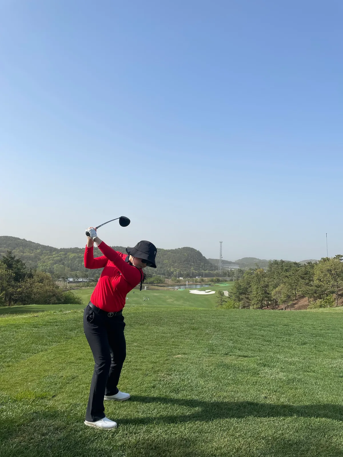 이미지 5