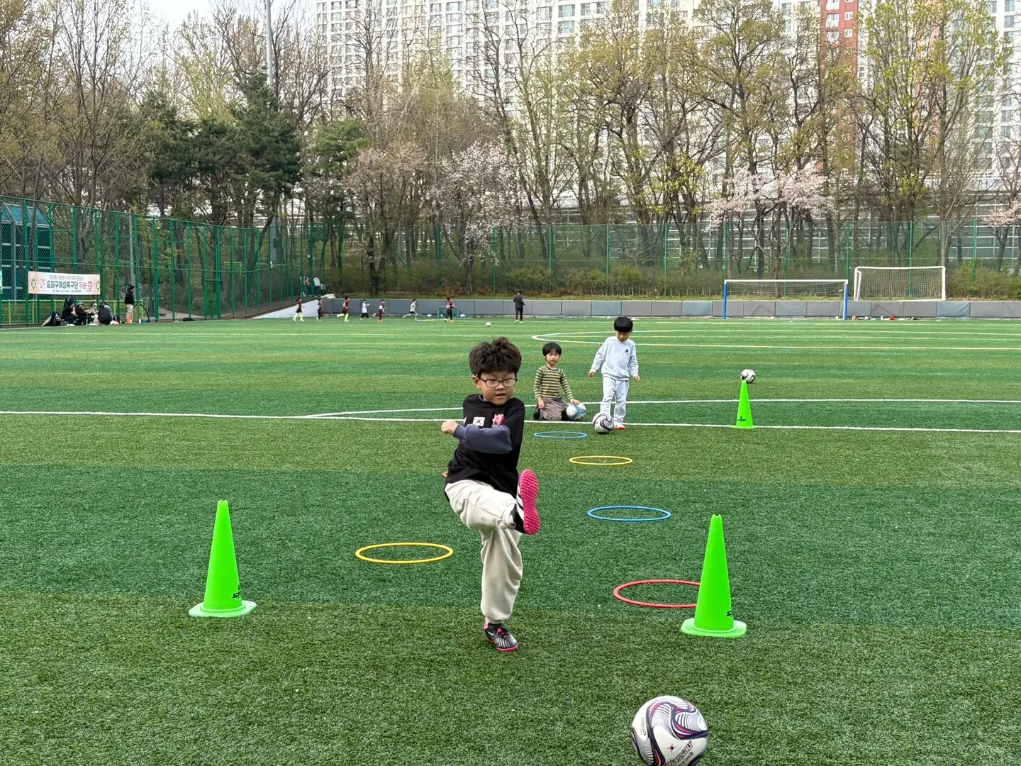 이미지 4