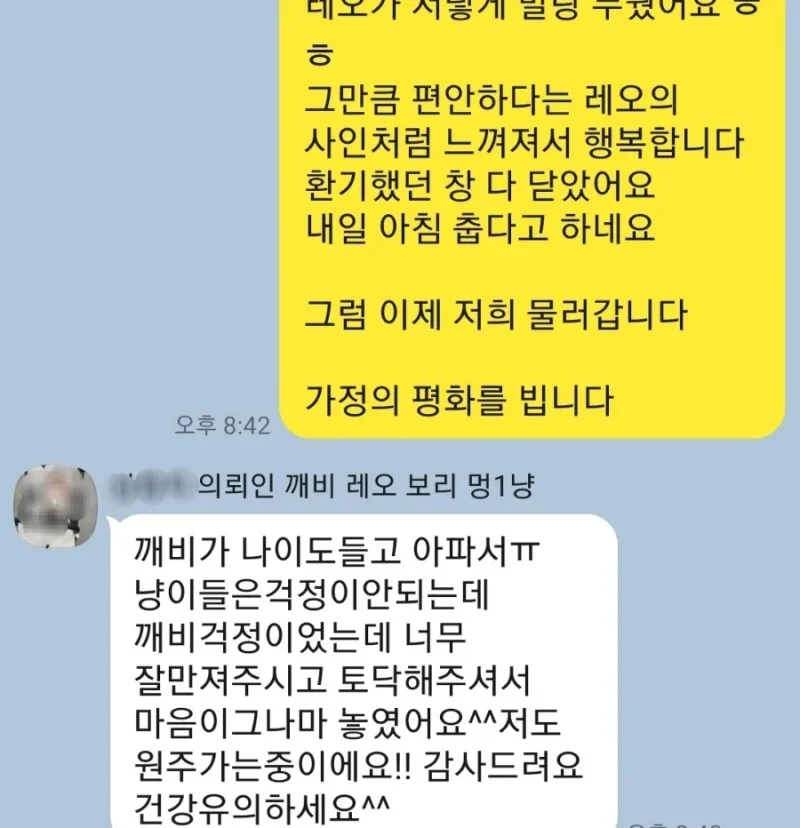 이미지 11