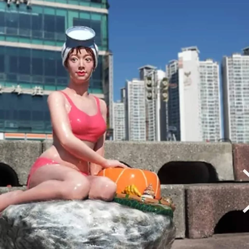 이미지 5