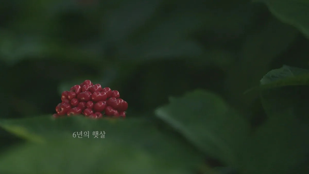 이미지 5