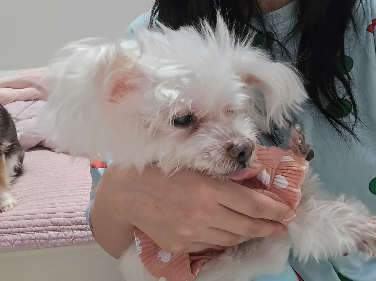 이미지 7