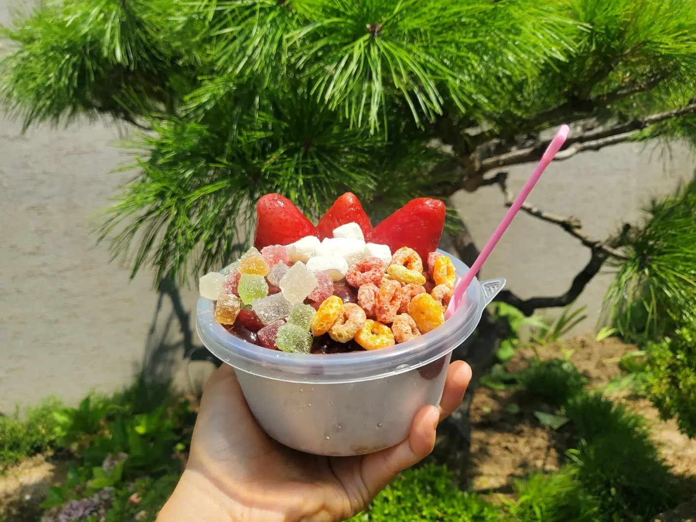 포트폴리오 이미지