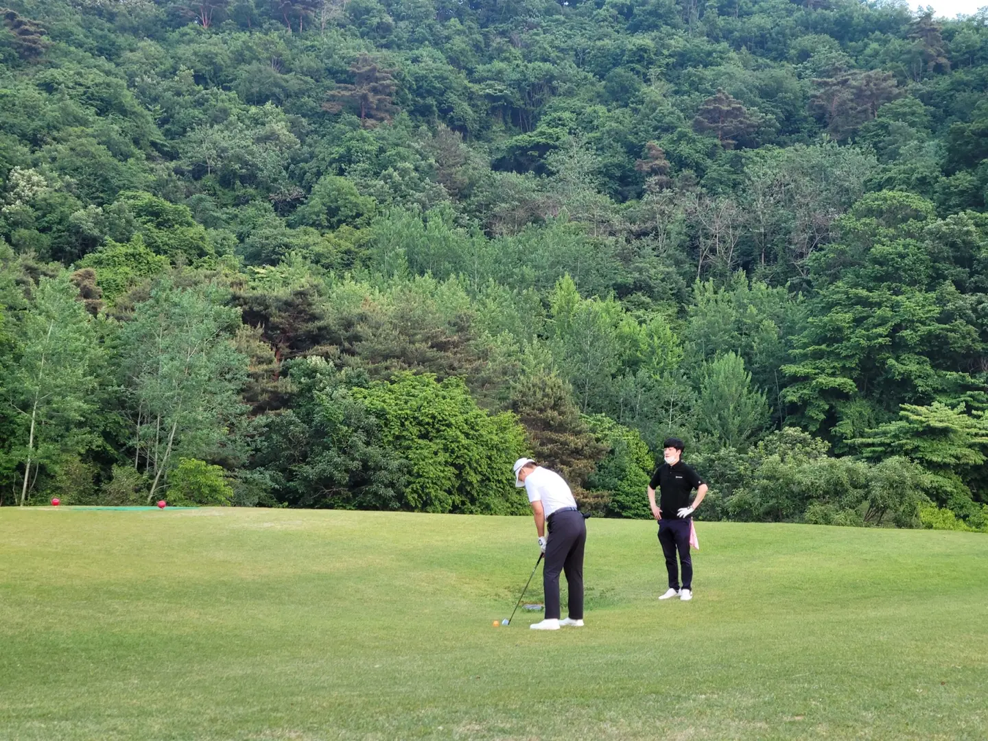 이미지 8