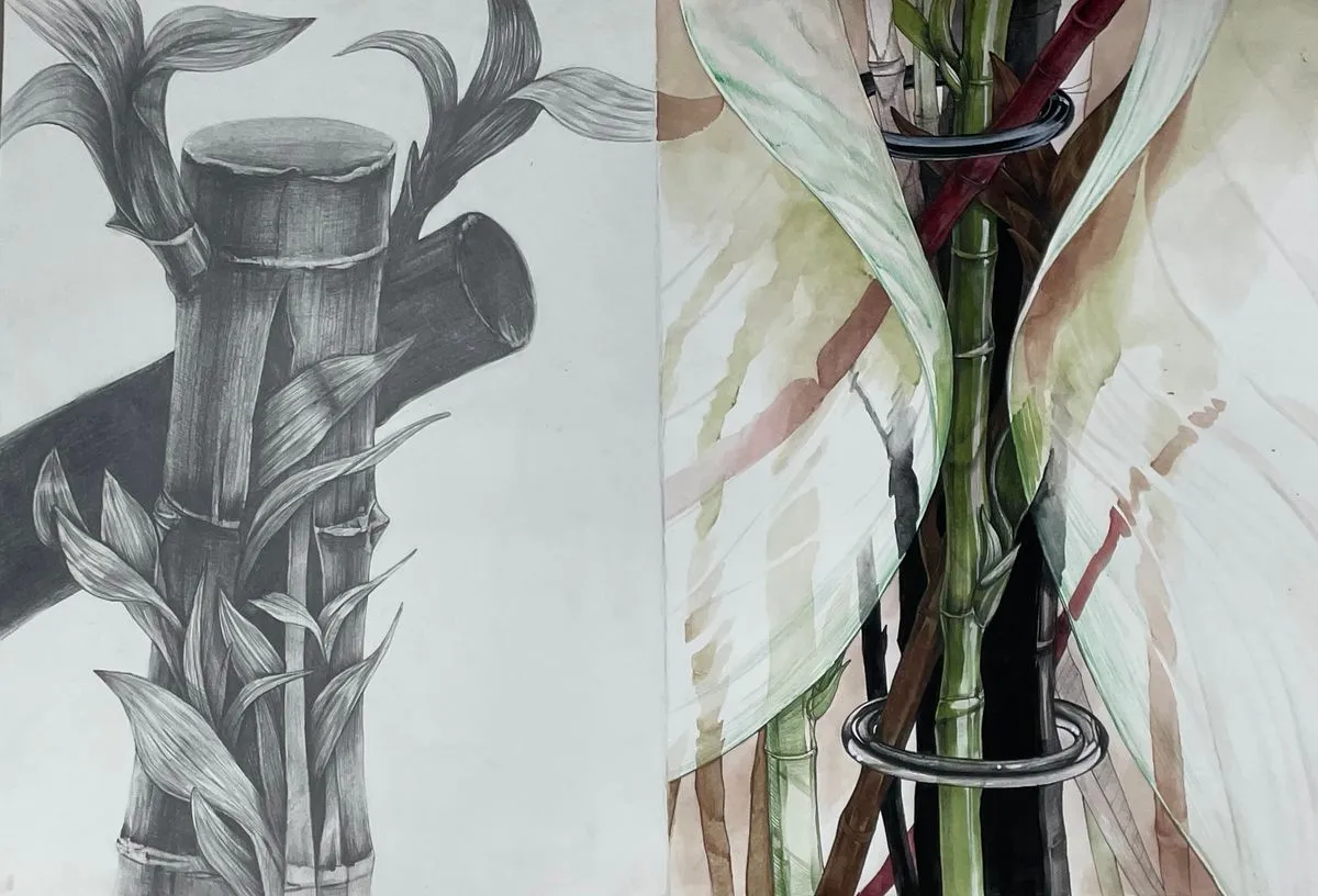 포트폴리오 이미지