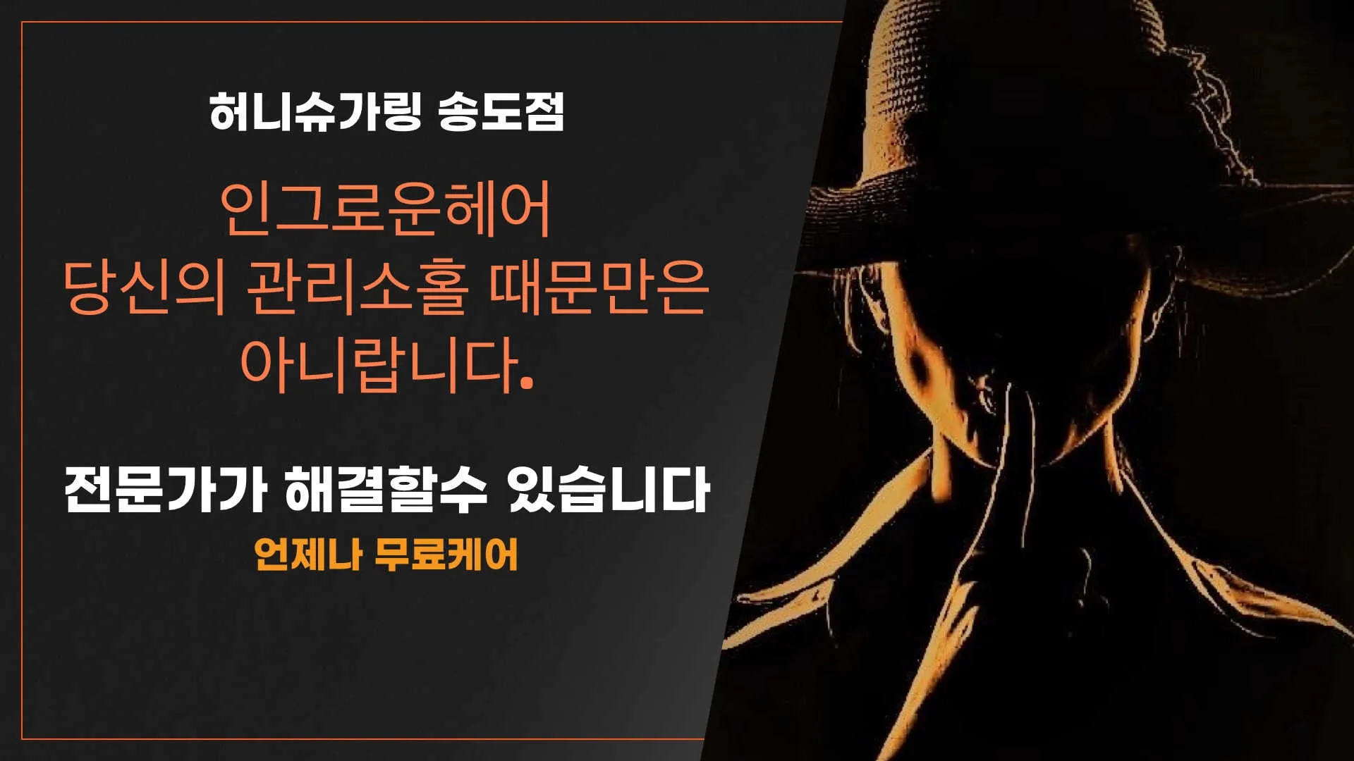 이미지 5